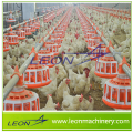 Leon Automatic Frango Feeding Equipamento avícola com CE